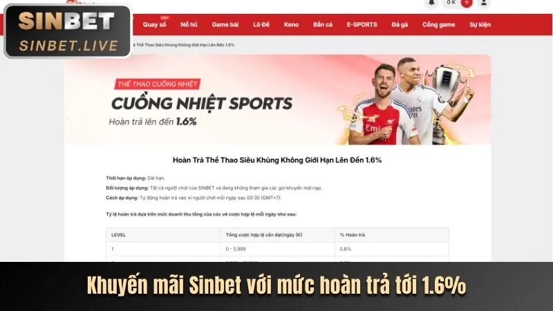 Cẩm Nang Cá Cược Thể Thao MCW66 Chính Thức Dành Cho Người Mới